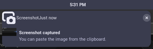 Screenshot of a notification from the screenshot tool (so meta, I know) that shows an oversized icon of the screenshot app at the top left that looks out of place. In that same line, there is also the text "Screenshot" and "Just now" without a space separating them, making it "ScreenshotJust now" instead. Overall high quality stuff.