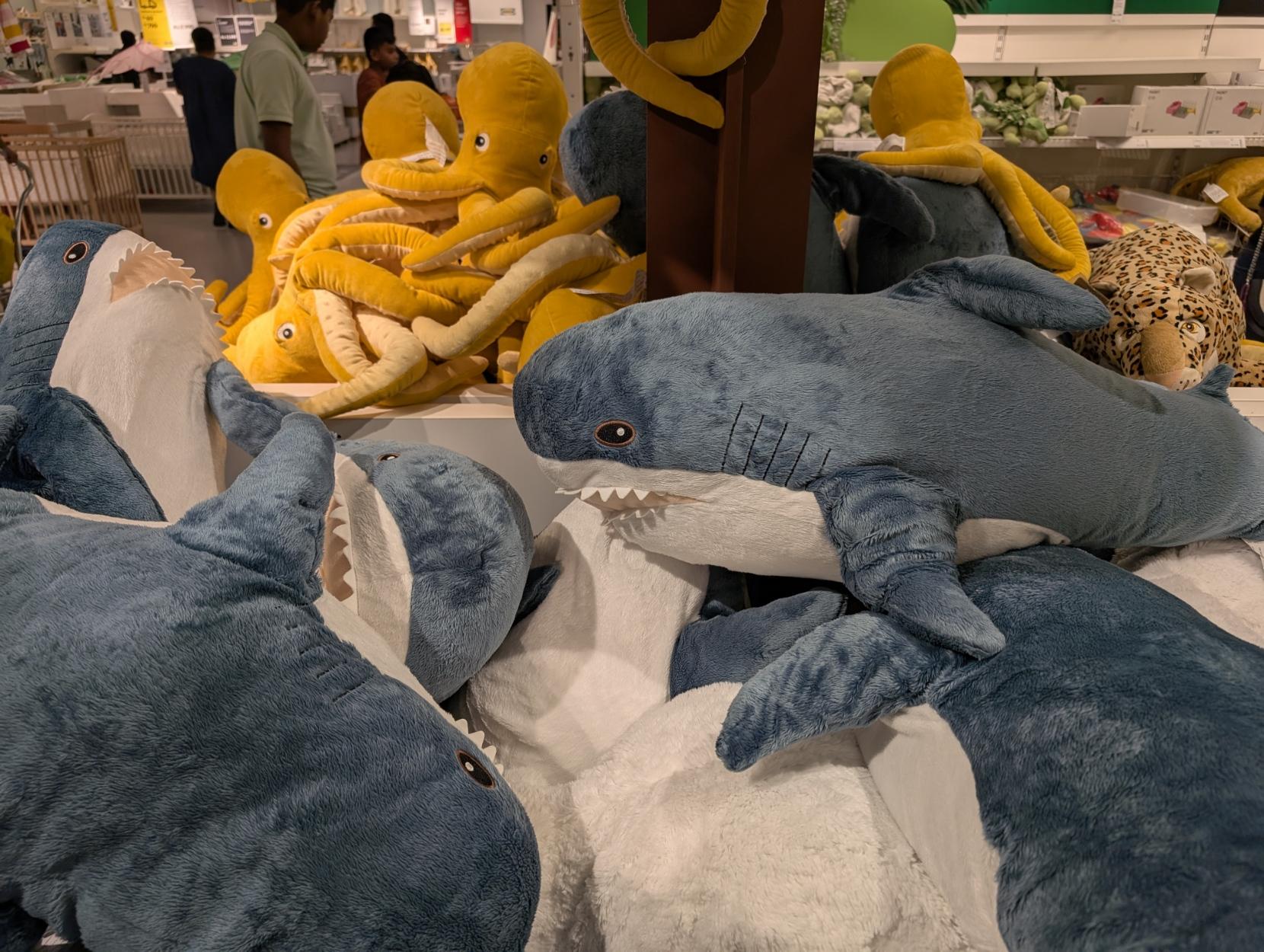 A pile of Blahaj shark plushies