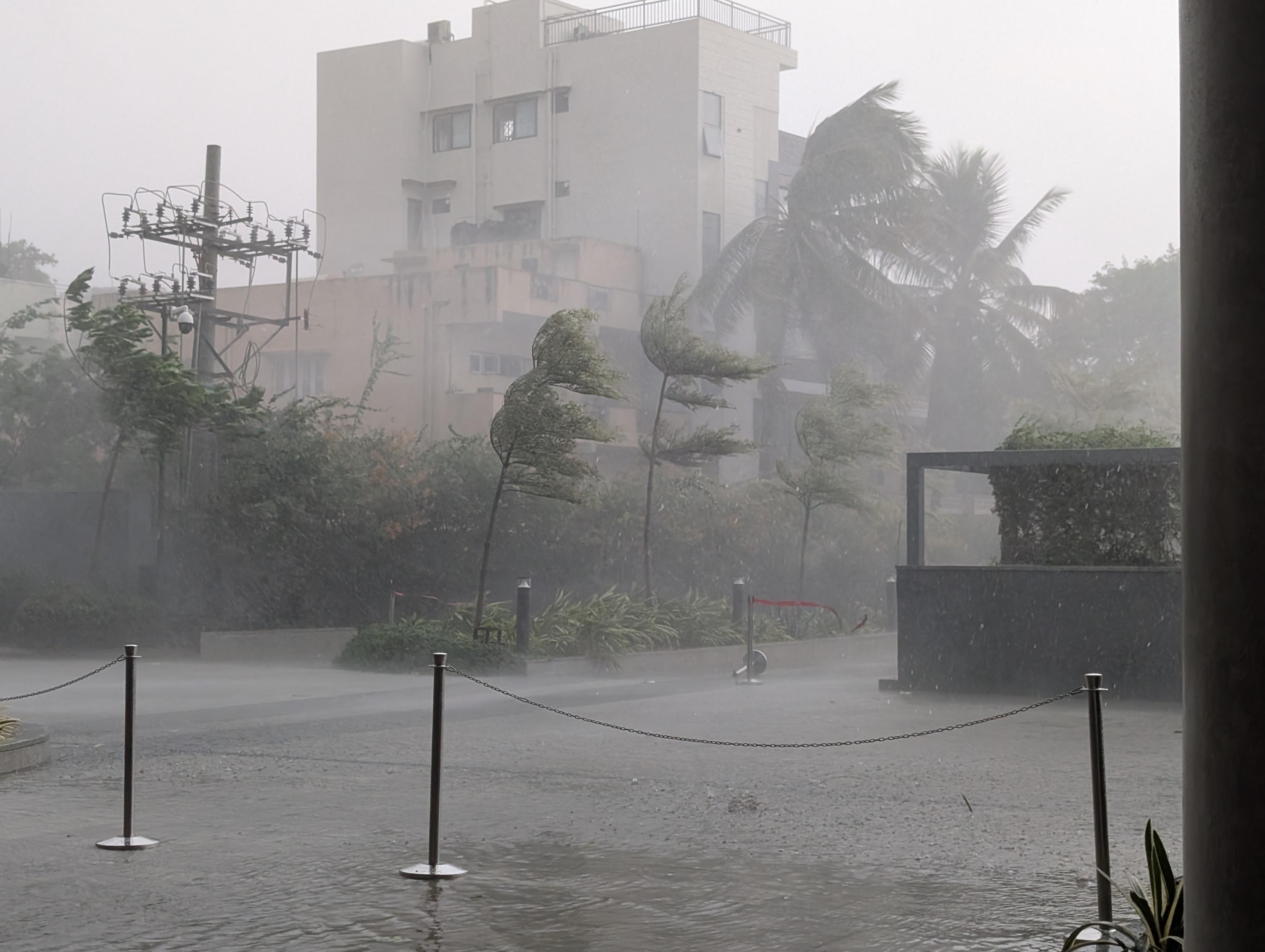 A thunderstorm right outside my office building. You can see small trees bending under the pressure of wind and heavy rainfall.